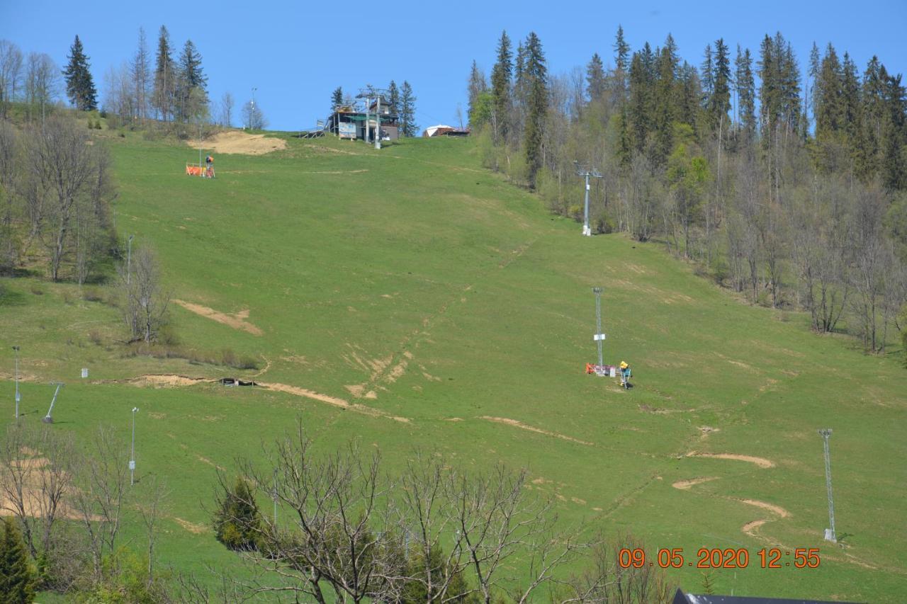 Willa Wiktoria 2 Zakopane Exteriör bild